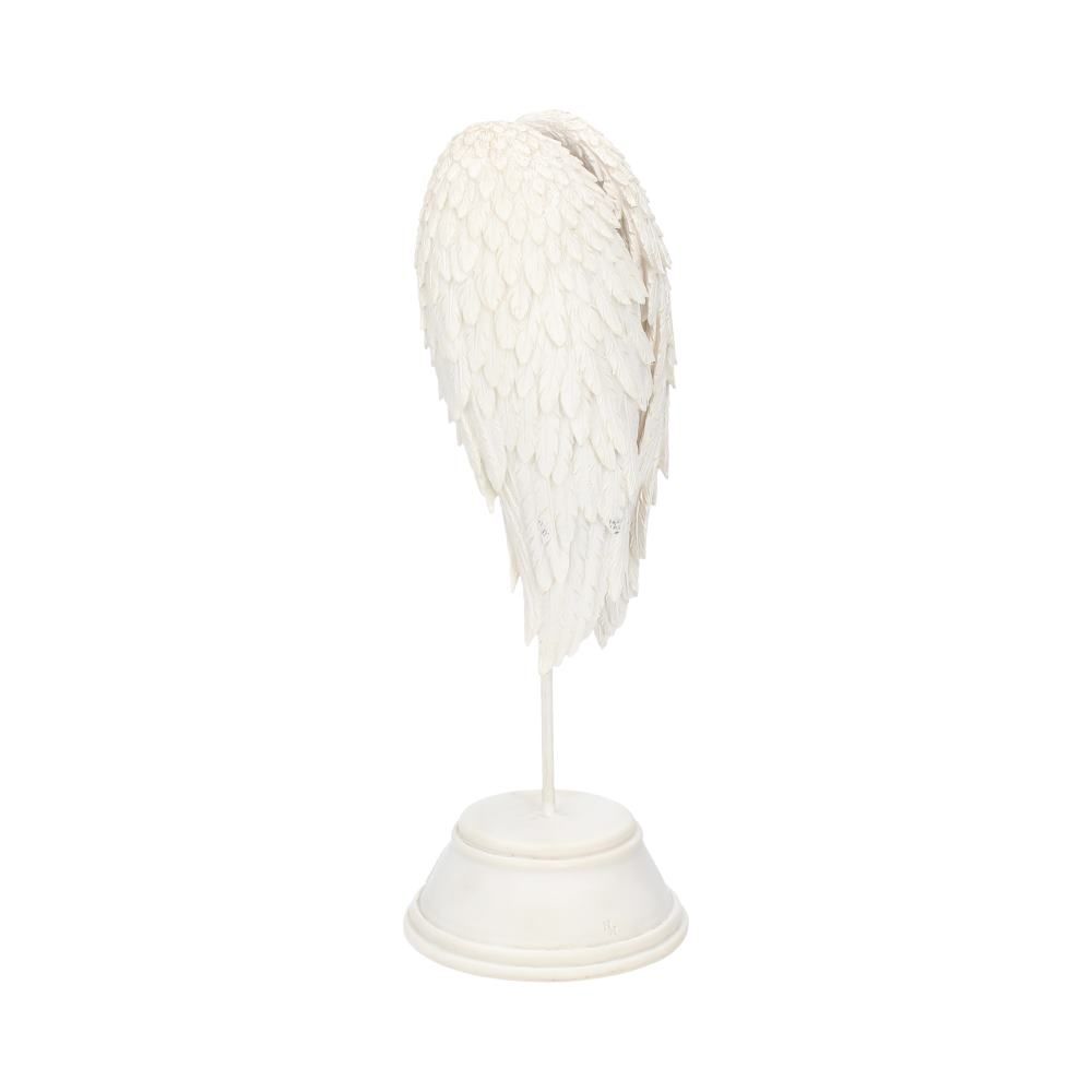 Angel Wings 26cm 6 Angel Wings 26cm