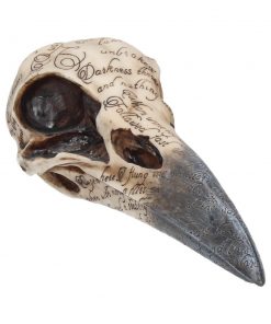 Edgar's Raven Skull 21cm