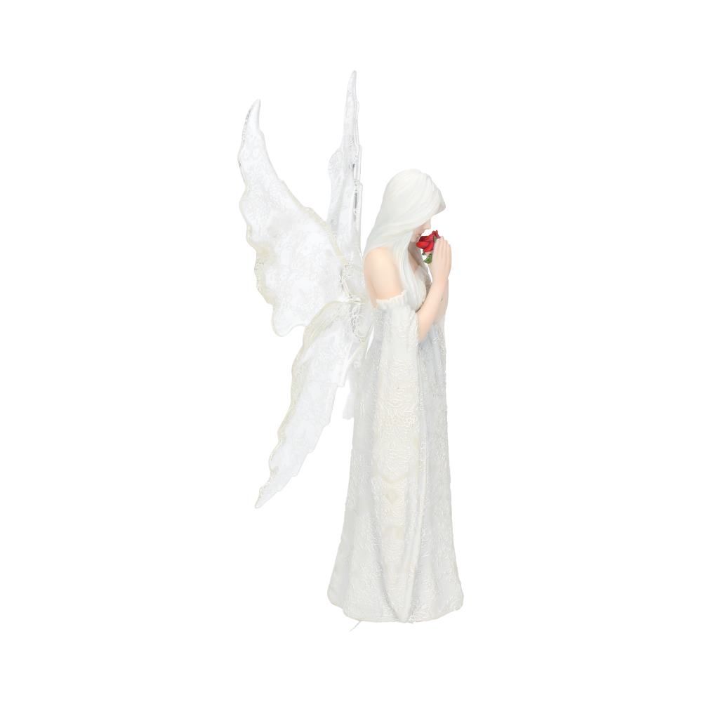 Only Love Remains (AS) 26cm 6 Only Love Remains (AS) 26cm