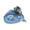 Dragonling Dreams 19.5cm