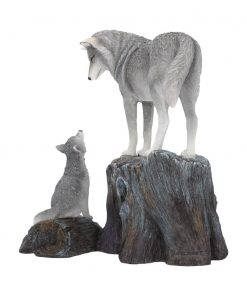Guidance 25cm (LP)