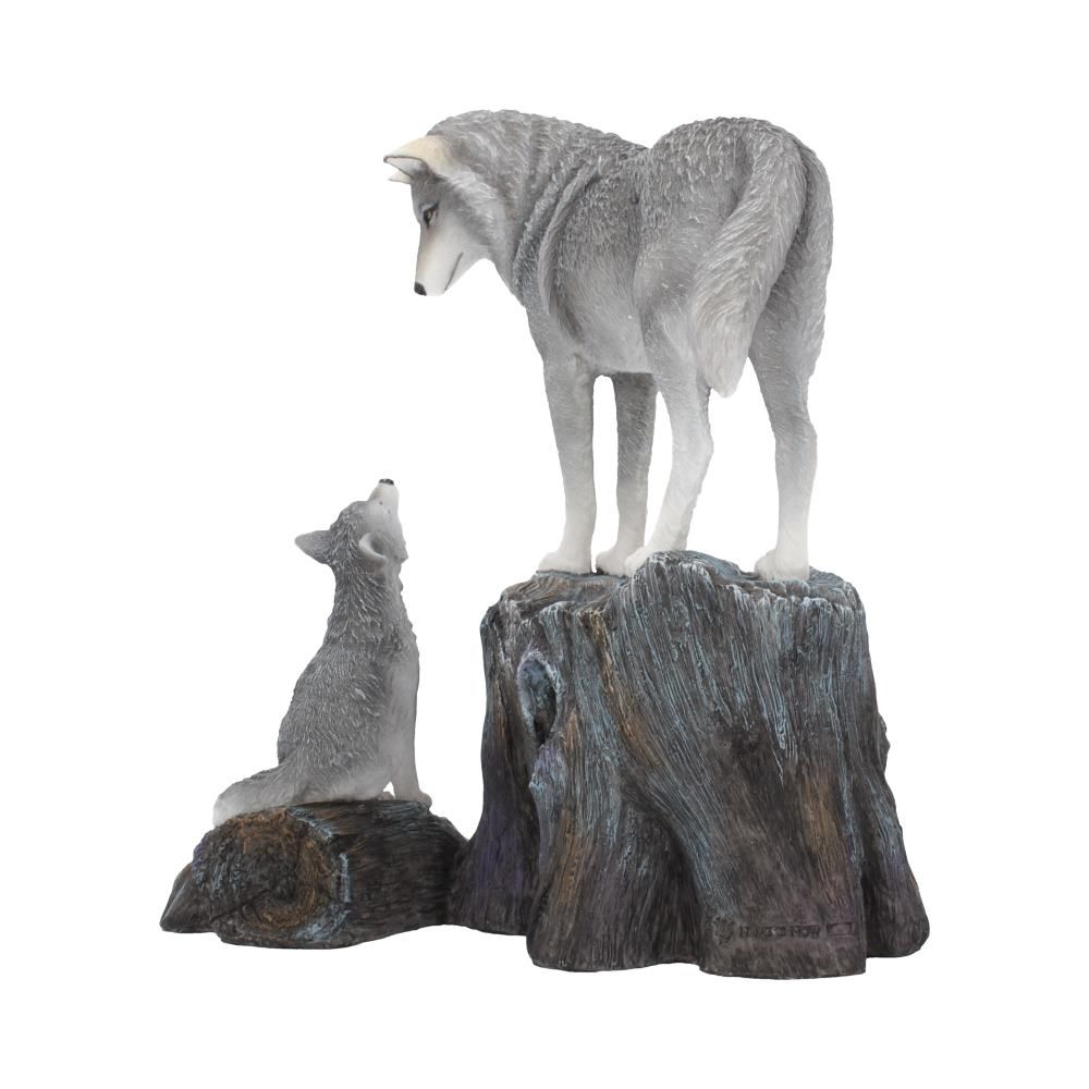 Guidance 25cm (LP) 3 Guidance 25cm (LP)