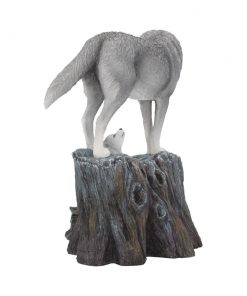 Guidance 25cm (LP)
