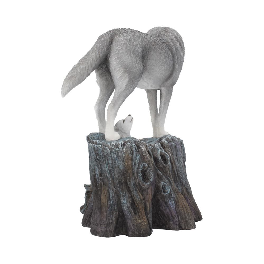 Guidance 25cm (LP) 4 Guidance 25cm (LP)