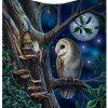 Fairy Tales Throw (LP) 160cm