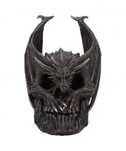 Draco Skull 19cm