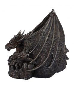 Draco Skull 19cm