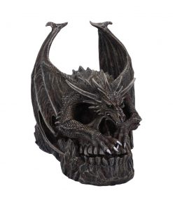 Draco Skull 19cm