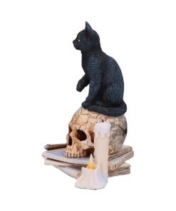 Spirits of Salem (LP) 16.5cm