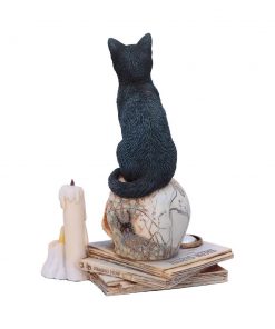 Spirits of Salem (LP) 16.5cm