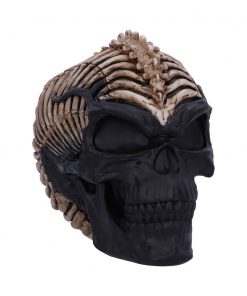 Spine Head Skull (JR) 18.5cm