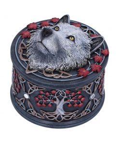 Guardian of the Fall Box (LP) 11cm
