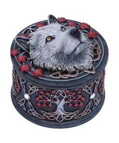 Guardian of the Fall Box (LP) 11cm