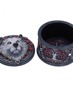 Guardian of the Fall Box (LP) 11cm