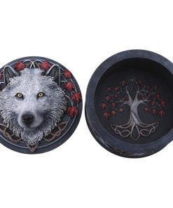 Guardian of the Fall Box (LP) 11cm
