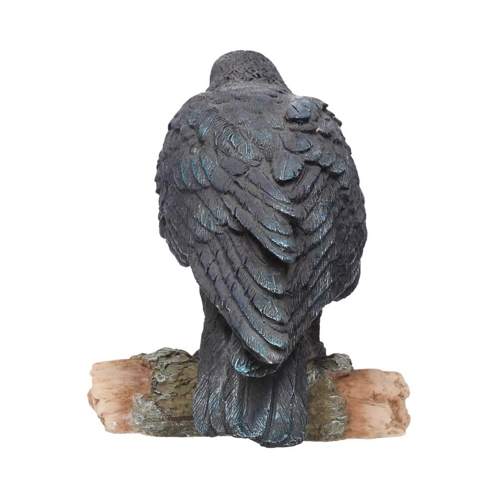 Raven's Call 20cm 3 Raven's Call 20cm