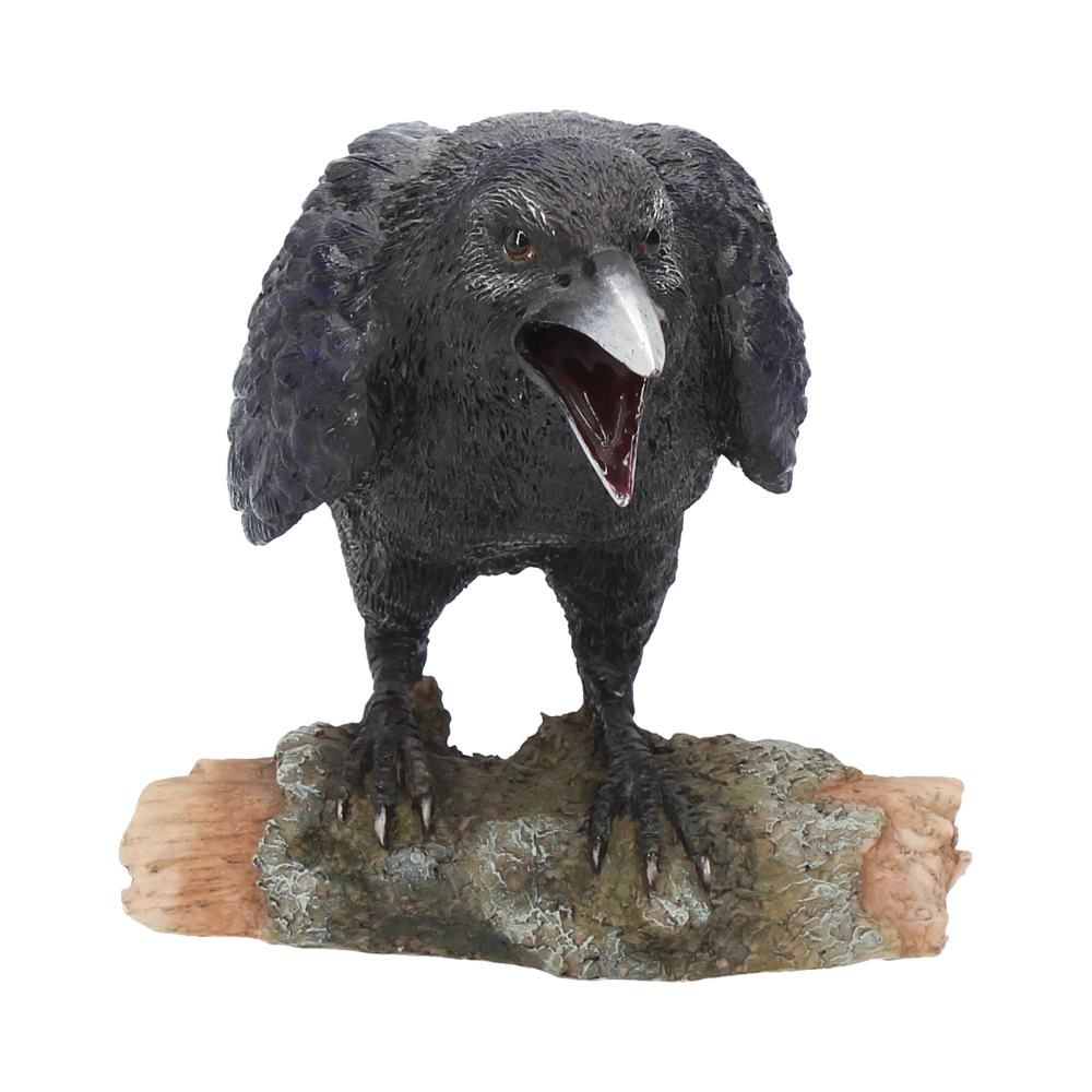 Raven's Call 20cm 6 Raven's Call 20cm