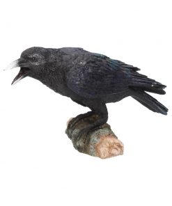 Raven's Call 20cm