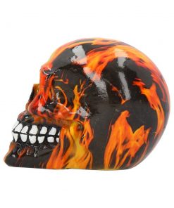 Inferno (Medium) 11cm (Pack of 6)