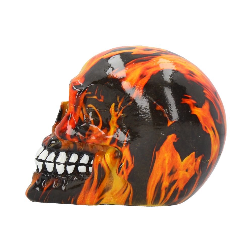 Inferno (Medium) 11cm (Pack of 6) 2 Inferno (Medium) 11cm (Pack of 6)