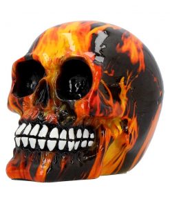 Inferno (Medium) 11cm (Pack of 6)