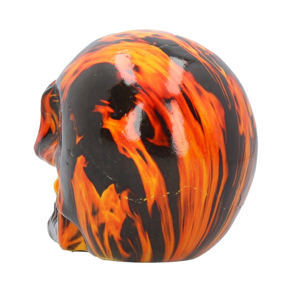 Inferno (Medium) 11cm (Pack of 6) 3 Inferno (Medium) 11cm (Pack of 6)