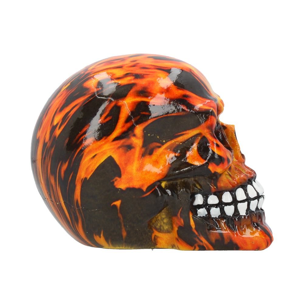 Inferno (Medium) 11cm (Pack of 6) 5 Inferno (Medium) 11cm (Pack of 6)