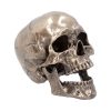 Cranius 22cm