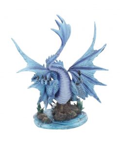 Adult Water Dragon (AS) 31cm