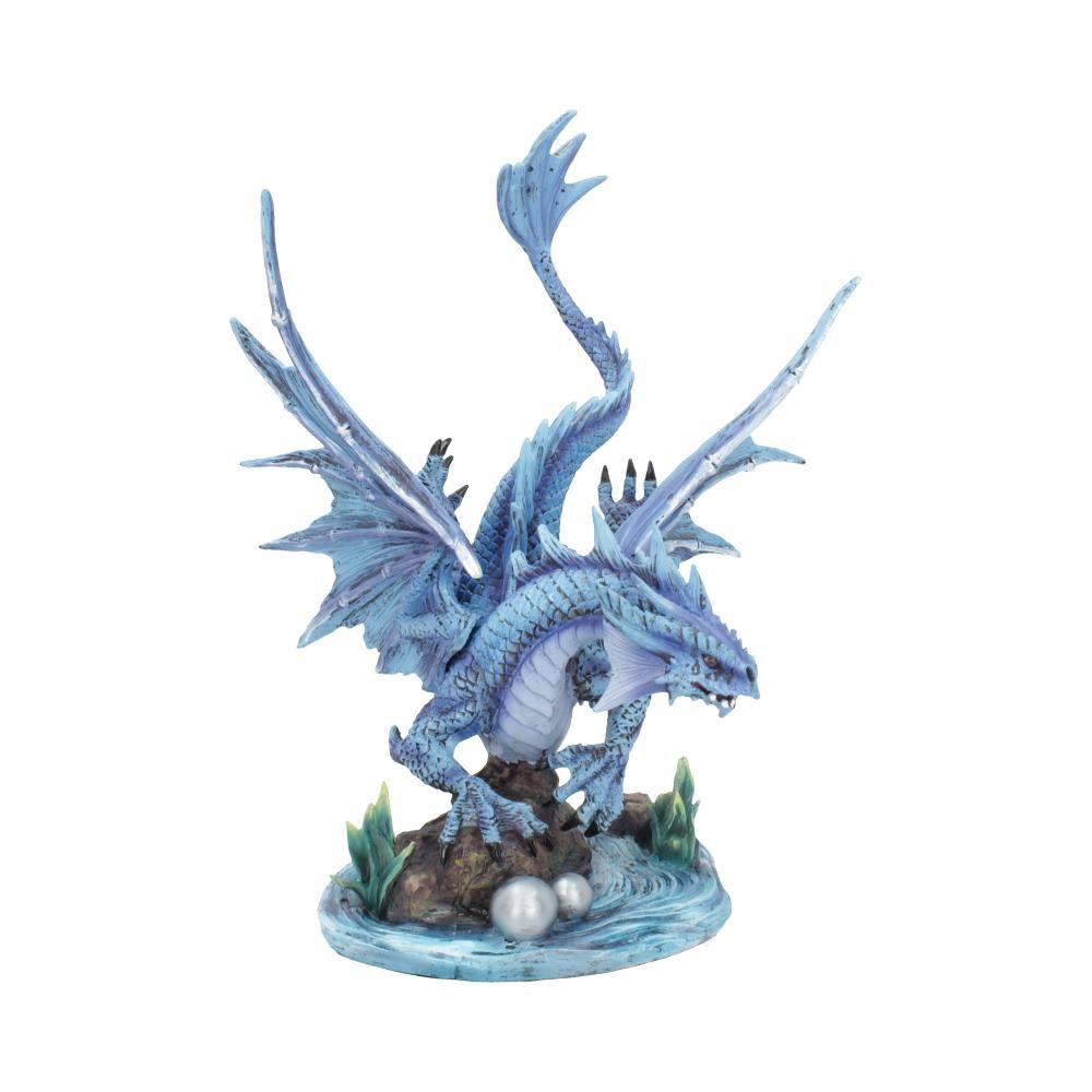 Adult Water Dragon (AS) 31cm 4 Adult Water Dragon (AS) 31cm