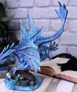 Adult Water Dragon (AS) 31cm