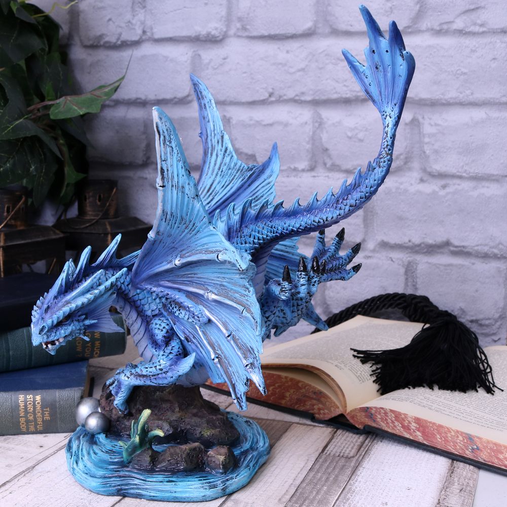 Adult Water Dragon (AS) 31cm 8 Adult Water Dragon (AS) 31cm