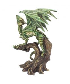 Adult Forest Dragon (AS) 25.5cm