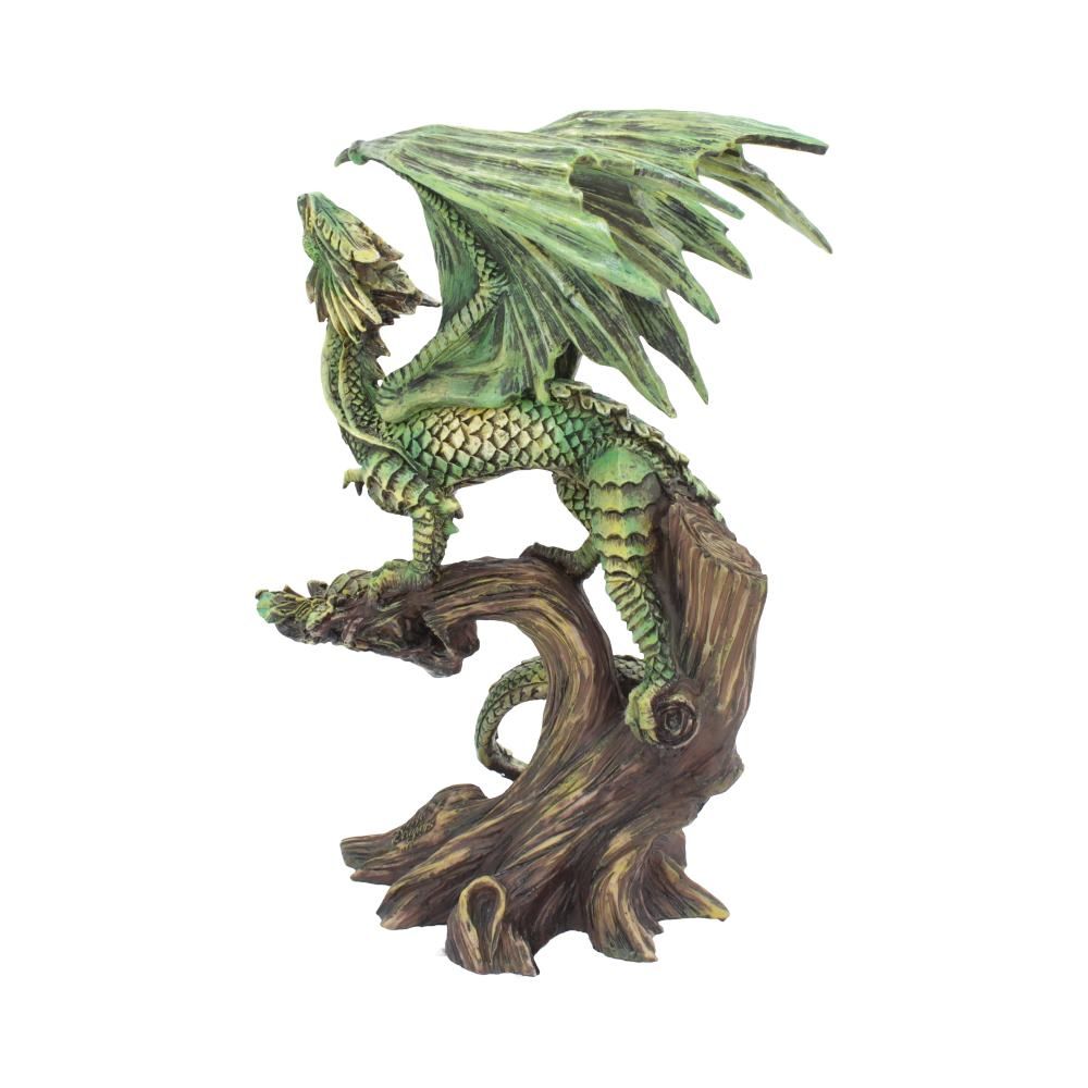 Adult Forest Dragon (AS) 25 Adult Forest Dragon (AS) 25.5cm