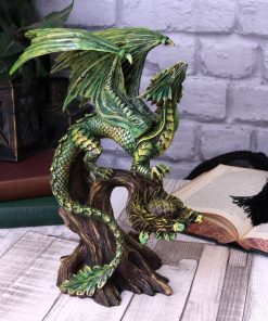 Adult Forest Dragon (AS) 25.5cm