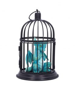 Turquoise Pet 8cm