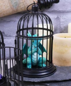 Turquoise Pet 8cm