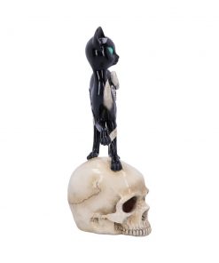 Feline Fate 34.6cm