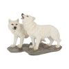 The Watchers (Set of 2) 15.6cm