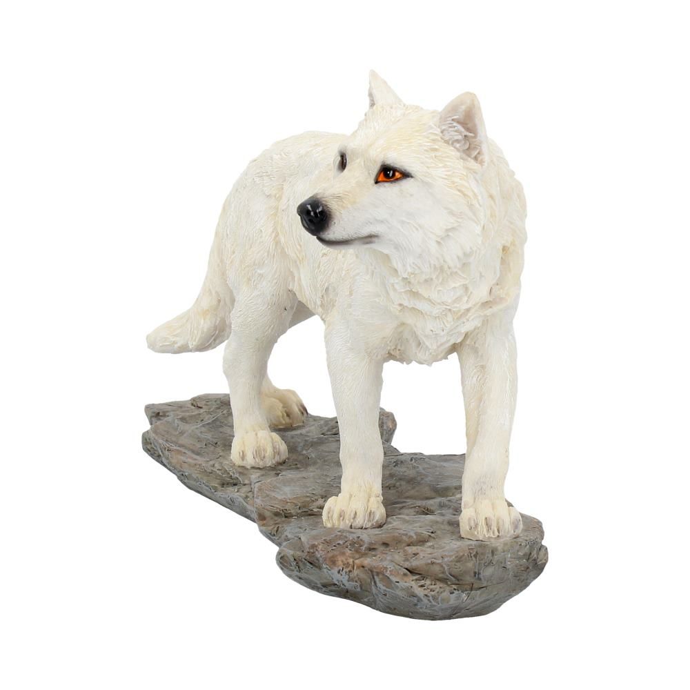 Mountain Watcher 21cm 2 Mountain Watcher 21cm