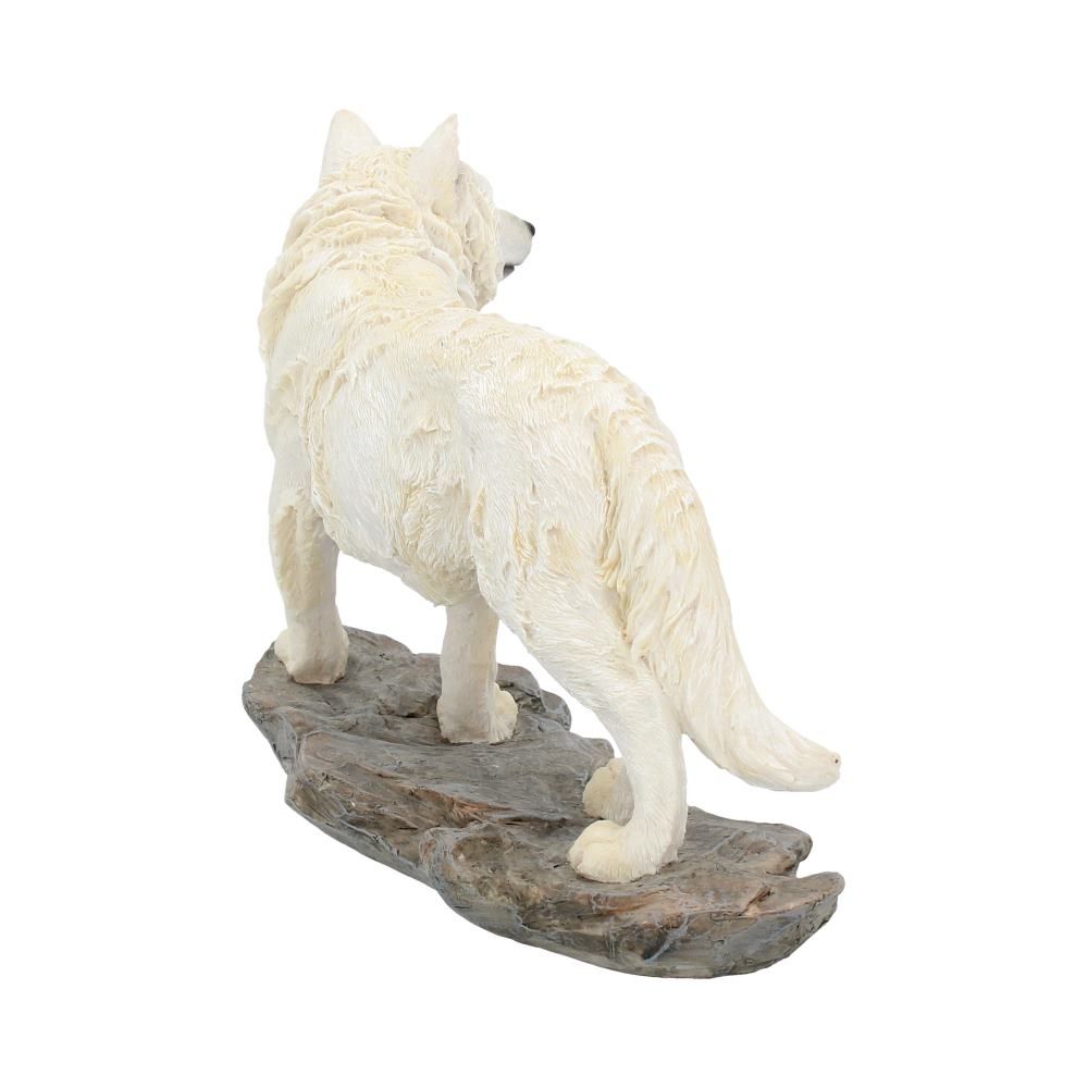 Mountain Watcher 21cm 5 Mountain Watcher 21cm
