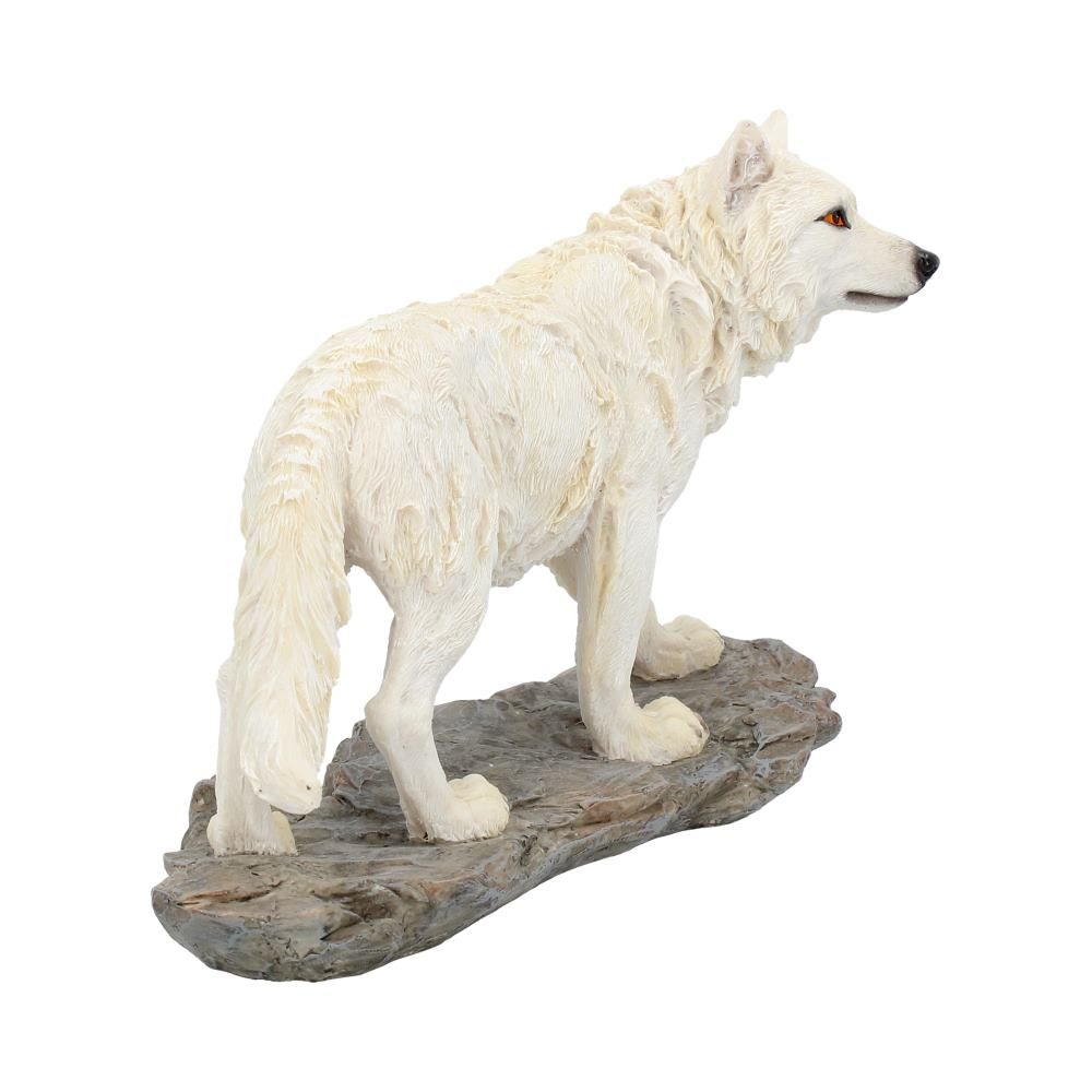 Mountain Watcher 21cm 6 Mountain Watcher 21cm
