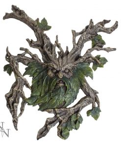 Wylde Jack 39.4cm