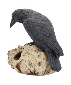 Ravens Remains 13cm
