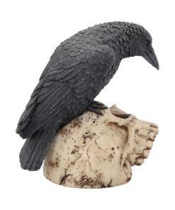 Ravens Remains 13cm