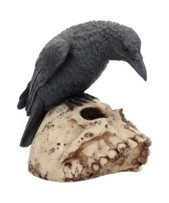 Ravens Remains 13cm