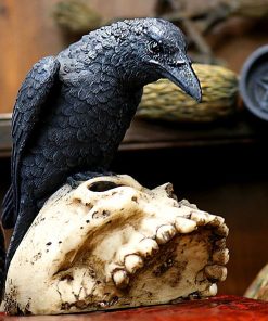 Ravens Remains 13cm