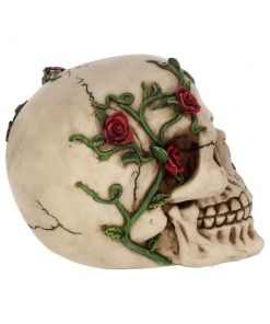 Rose From Beyond 15cm