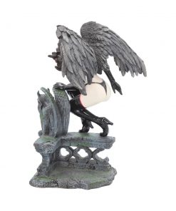 Raven 19cm