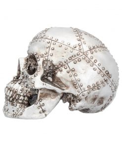 Rivet Head 19cm